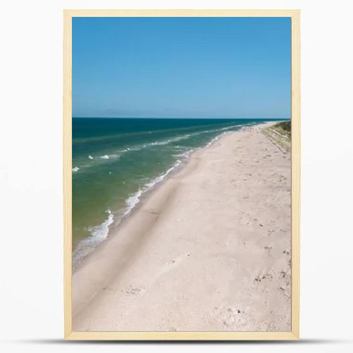 Aerial drone view of long sandy beach and green Baltic Sea coastline with pine forest  summer coastal landscape photography