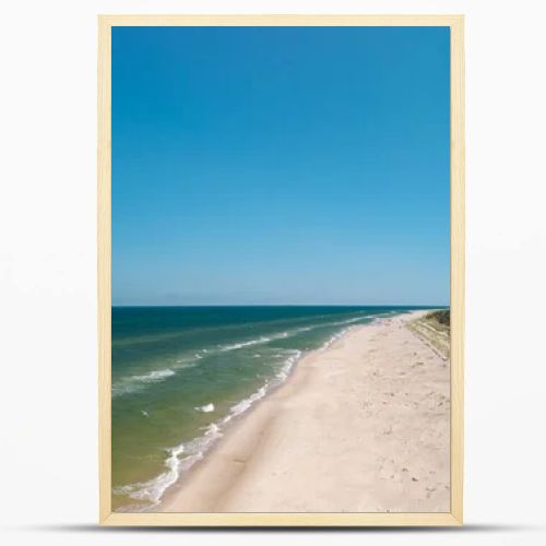 Aerial drone view of long sandy beach and green Baltic Sea coastline with pine forest  summer coastal landscape photography