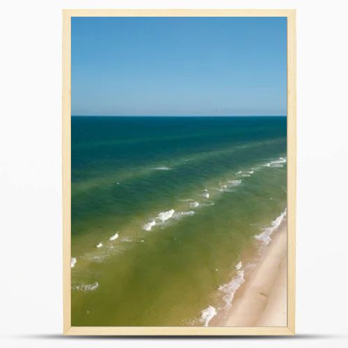 Aerial drone view of long sandy beach and green Baltic Sea coastline with pine forest  summer coastal landscape photography