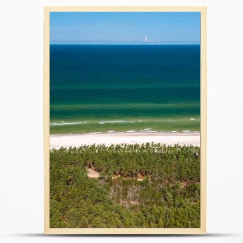 Aerial drone view of long sandy beach and green Baltic Sea coastline with pine forest  summer coastal landscape photography