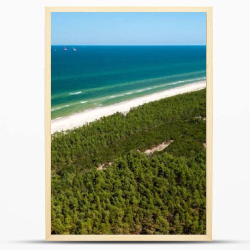 Aerial drone view of long sandy beach and green Baltic Sea coastline with pine forest  summer coastal landscape photography