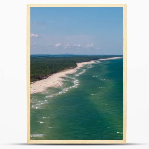Aerial drone view of long sandy beach and green Baltic Sea coastline with pine forest  summer coastal landscape photography