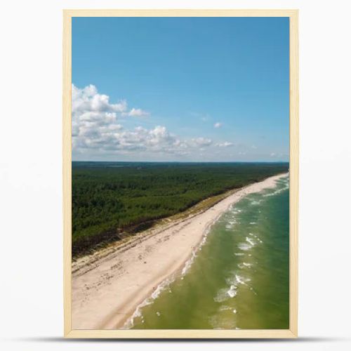 Aerial drone view of long sandy beach and green Baltic Sea coastline with pine forest  summer coastal landscape photography