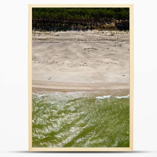 Aerial drone view of empty sandy beach, green Baltic Sea waves and pine forest coastline  natural seaside landscape photography