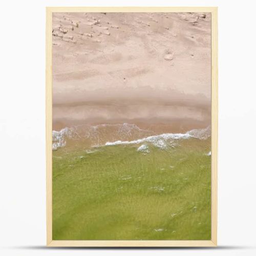 Top-down drone view of empty sandy beach, green sea waves and pine forest on the Baltic coast  natural coastal landscape photography