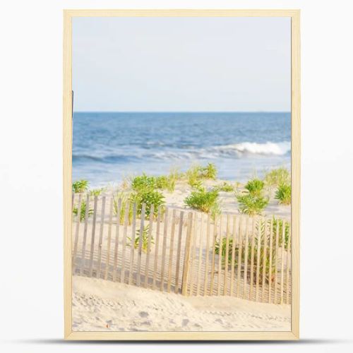 Protective fencing preserves coastal dunes, reduces erosion, and supports a fragile beach ecosystem.