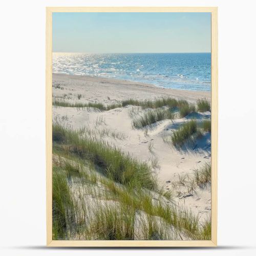 Panoramic view of sandy beach dunes with green vegetation meeting Baltic Sea horizon in Leba Poland summer landscape. High quality photograph