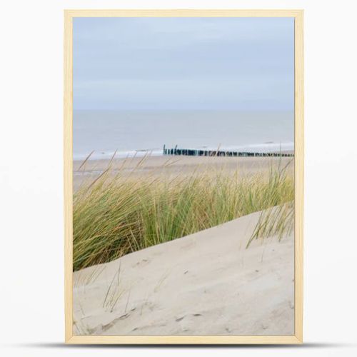 Gentle dunes line the peaceful coast of Zeeland in the Netherlands, where tall grass sways in the breeze. In the distance, wooden breakwaters stretch along the shore