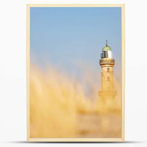 Lighthouse in Warnemuende, Germany behing the blurred marram grass, on sand dunes. High quality photo