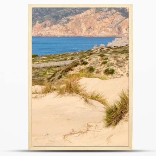 Soft sand dunes shaped by coastal wind with sparse grass above the Atlantic shoreline near Guincho Cascais Portugal.