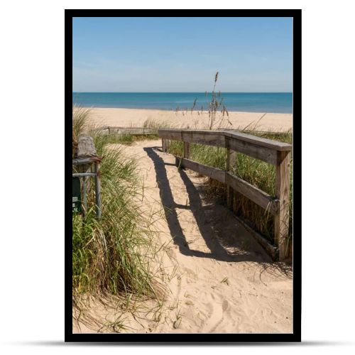 Wooden fence along a sandy beach path lined with dune grass and sea oats, highlighting coastal protection and natural ecosystem design