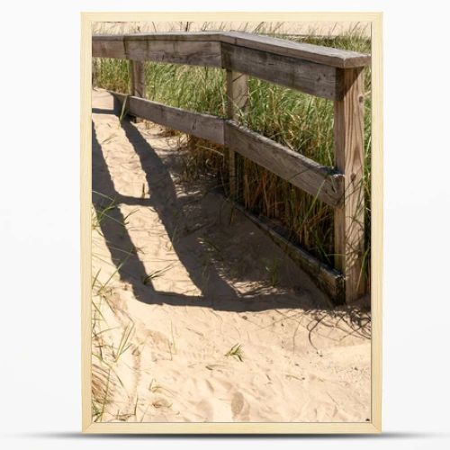 Weathered wooden fence along a sandy beach path surrounded by tall dune grass, highlighting coastal protection and natural landscape