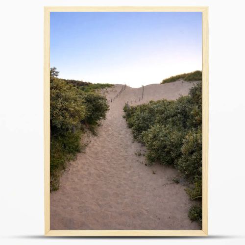 Sandy path through coastal dunes surrounded by green vegetation leading toward the horizon. Natural landscape symbolizing journey, direction, progress, freedom and new opportunities.