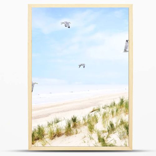 Beach dunes with flying seagulls