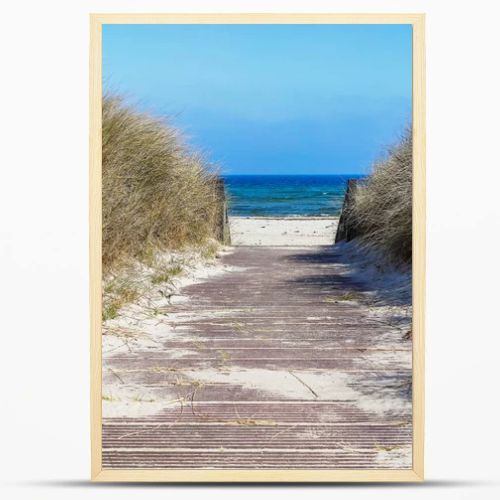 Photo of dunes and white sand beach at German shore of Baltic sea