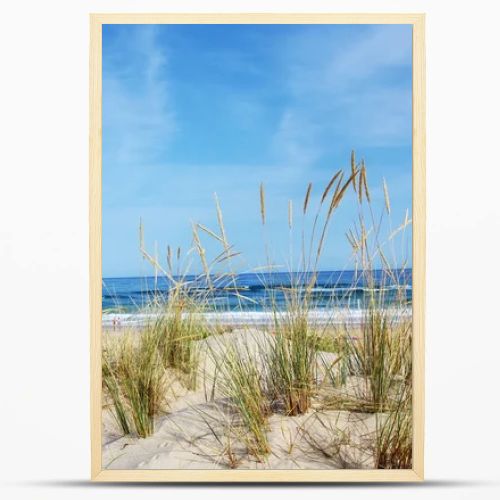 View of a beautiful landscape dune flora in Algarve, Portugal