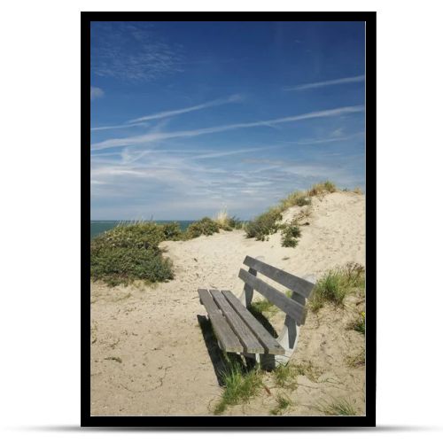 dune landscape at nieuw haamstede,schouwen duiveland,southern netherlands