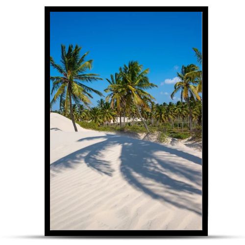 White sand dunes and coconut trees in Acarau, Ceara, Brazil on September 4, 2019