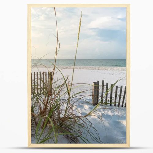 Sand fences and Sea Oats on Florida Beach at Sunrise