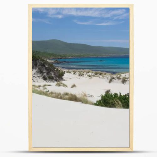 View of Arenas Biancas beach and his dunes