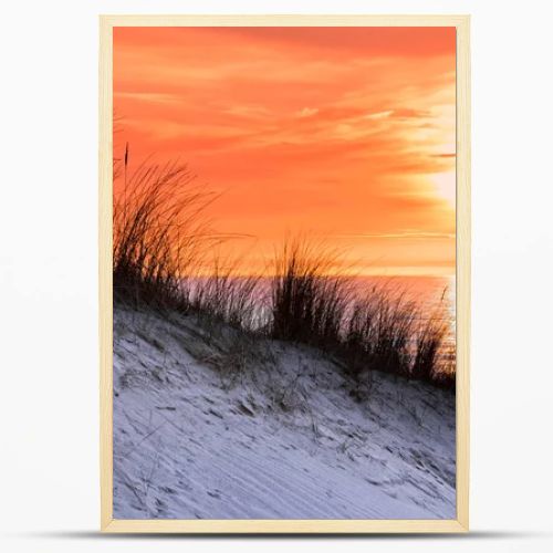 Orange sunset in evening with dune and sea at coast in netherlands