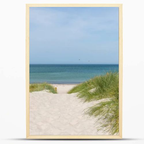 German Baltic Sea coast with sand dunes, grass, water and sky
