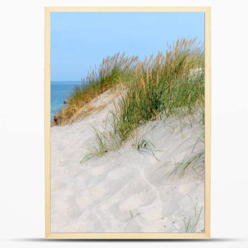 German Baltic Sea coast with sand dunes, grass, water and sky