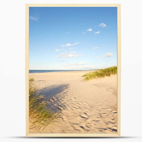 Slovinski national park, Leba sand dune on the Baltic coast