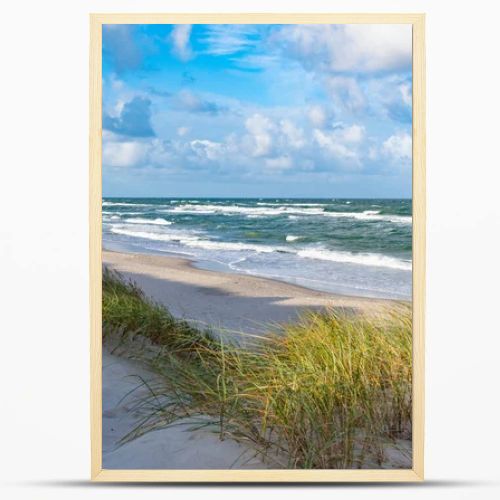 Rough sea with waves in autumn or winter, sandy beach and dunes with reeds and dry grass in the morning