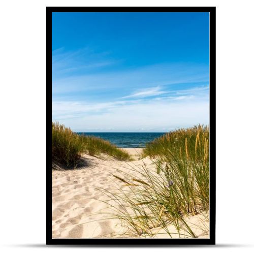 Calm beach with dunes and green grass. Ocean in the background, blue sunny sky