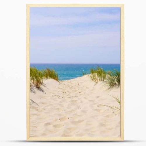 natural dune access to sand beach of le porge in atlantic ocean France