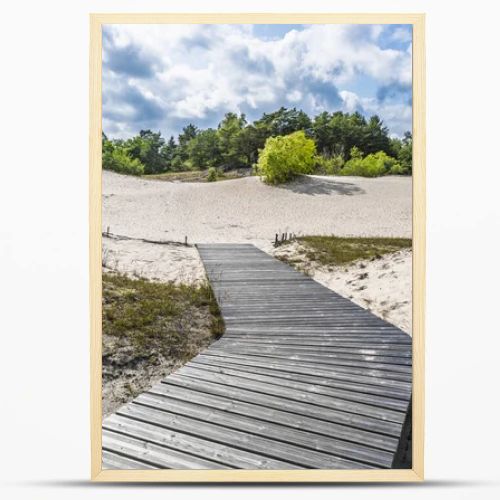 Wooden boardwalk leads over white coastal dunes in Latvia, framed by shrubs, pines and dramatic clouds.
