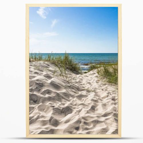 Baltic coast seascape featuring clean sand dunes, sea grass, and a calm horizon in bright natural light.