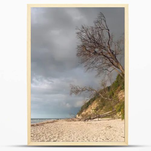 Natural landscape from the sea on a cloudy windy day.