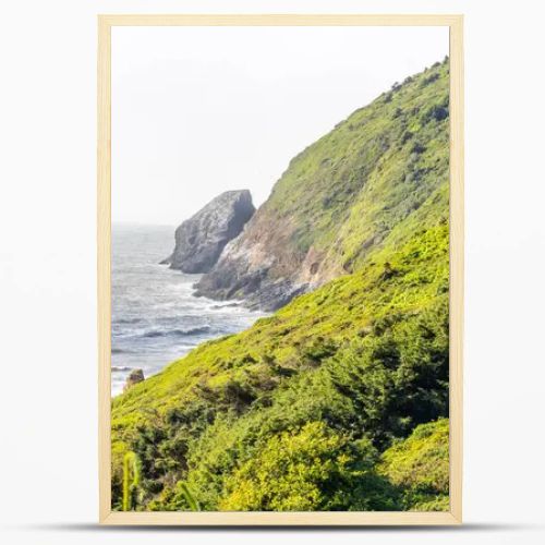This breathtaking coastal landscape captures golden grassy sand dunes under bright sunlight, rolling toward a mist-covered beach. The scene blends textures of sand, grass, and ocean waves for a serene, natural beauty.