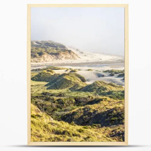 This breathtaking coastal landscape captures golden grassy sand dunes under bright sunlight, rolling toward a mist-covered beach. The scene blends textures of sand, grass, and ocean waves for a serene, natural beauty.