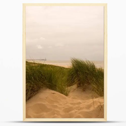 Dunes by the North Sea Coast