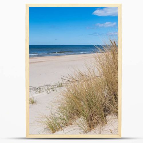 Beautiful sandy beach with dry and yellow grass, reeds, stalks blowing in the wind, blue sea with waves on the Baltic Sea in Palanga, Klaipeda, Lithuania