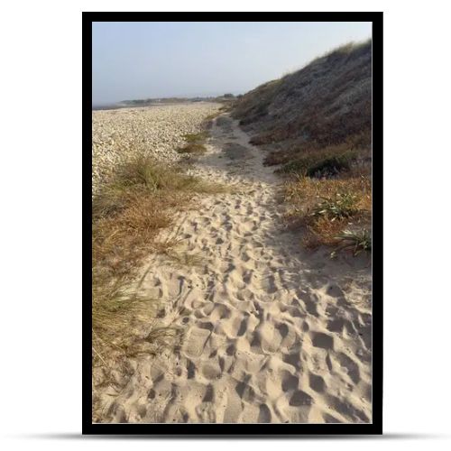 Sandy Atlantic Ocean Shoreline, Portugal