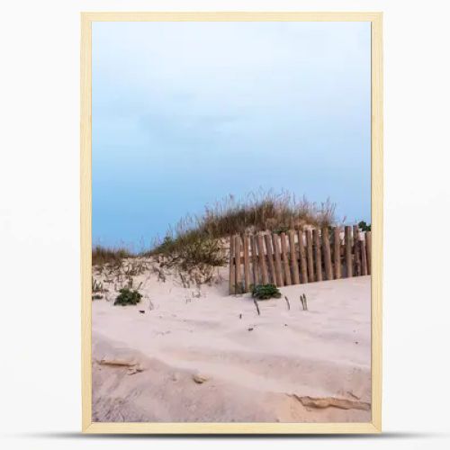 A sandy dune landscape with wooden fences lines the edge of a beach under an overcast sky. The scene captures the raw beauty of a coastal environment with a serene and untouched atmosphere.