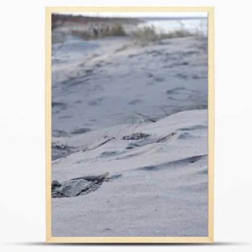 a layer of sand with small plants, footprints and objects in the foreground and a seascape in the background.