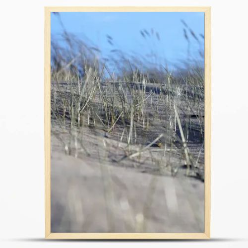 sand with grass, sky and a blue spot in the upper right corner.