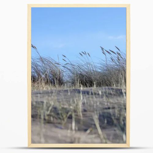 sand with grass, sky and a blue spot in the upper right corner.