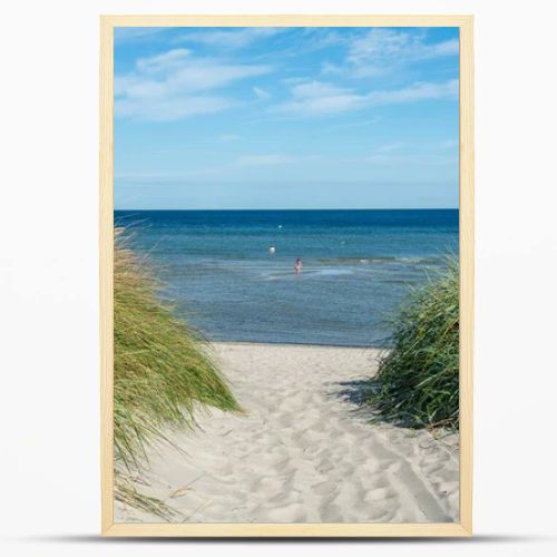 Path between the sand dunes overlooking the sea  with blue sky