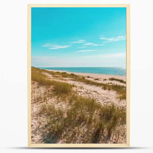Beautiful nature scenery on Sylt island, in North Sea, Germany, with the beach and the blue water on a sunny day