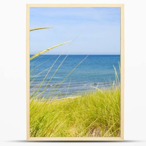 Sand dunes at beach