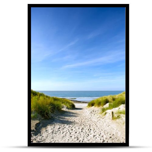 Beach and sand dunes