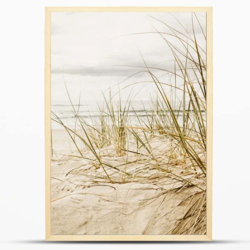 Close up of a tall grass on a beach during cloudy season