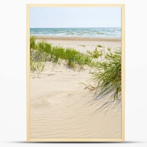 Sandy dunes on a beach of Jurmala.