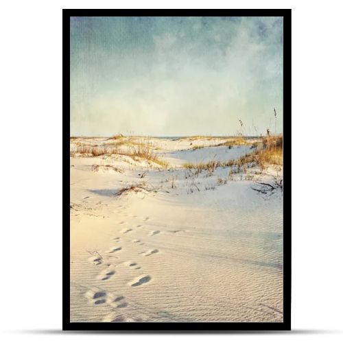 Sand Dunes at Sunset Textured Landscape